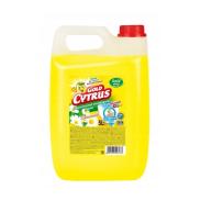 Płyn GOLD CYTRUS do mycia naczyń 5L Rumianek