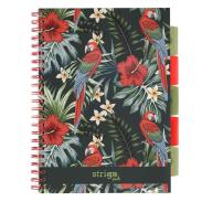 Kołobrulion A-4 100 kartek w kratkę 5 zakładek STRIGO Tropiki Papuga (1)