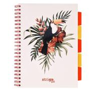 Kołobrulion A-4 100 kartek w kratkę 5 zakładek STRIGO Tropiki Tukan (1)