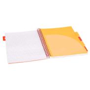 Kołobrulion A-4 100 kartek w kratkę 5 zakładek STRIGO Tropiki Tukan (2)