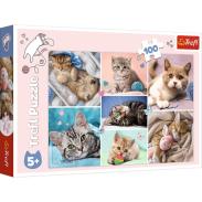 Puzzle TREFL 100 elementów W kocim świecie  (1)