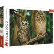 Puzzle TREFL 1000 elementów Sowy (1)