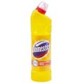 Płyn DOMESTOS do czyszczenia toalet 1L Citrus 