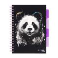 Obrazek dla: Kołobrulion B5 100 kartek w kratkę 4 zakładki STRIGO Animals Panda