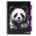Obrazek dla: Kołobrulion A4 100 kartek w kratkę 5 zakładek STRIGO Animals Panda